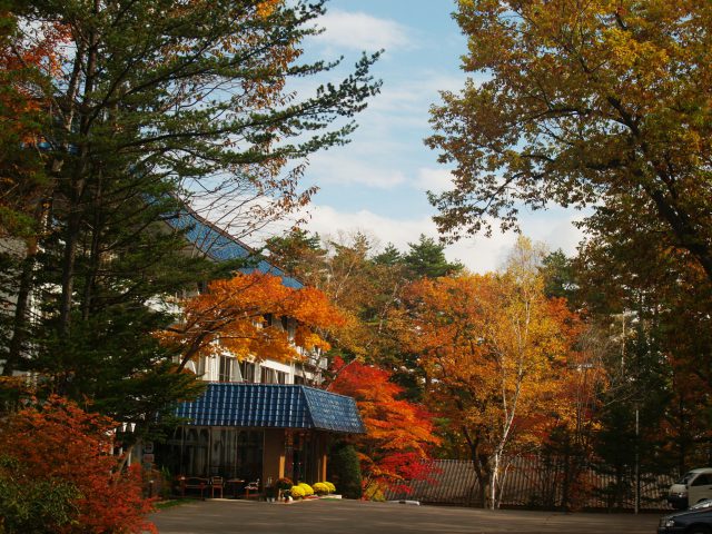 秋の全景画像