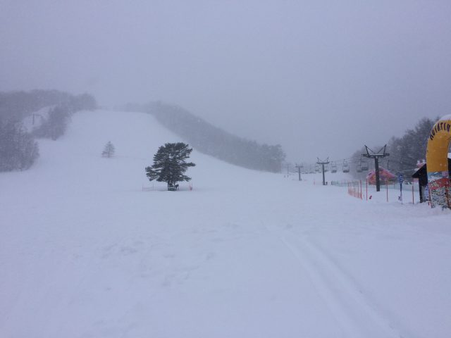 草津国際スキー場