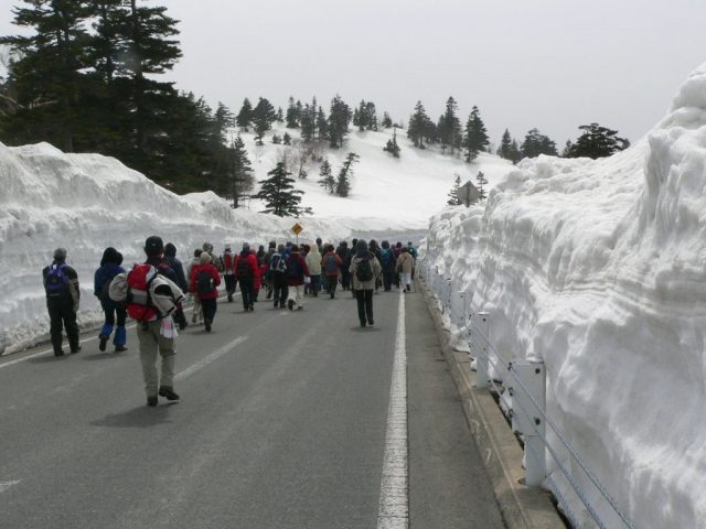 雪の回廊ウォーク