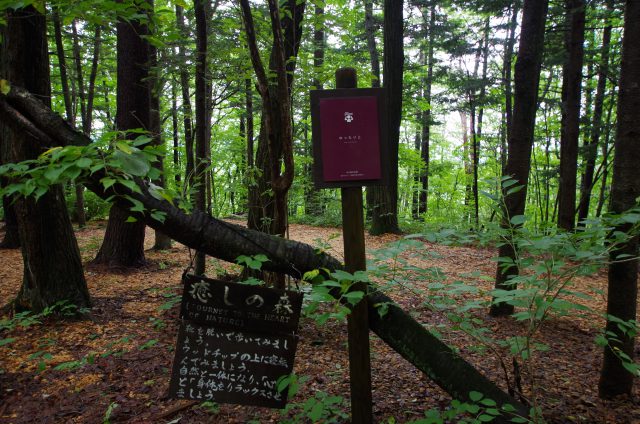 森の癒し歩道ロイヤルコース