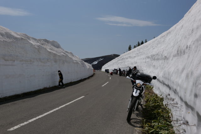 志賀草津高原ルート　雪の回廊