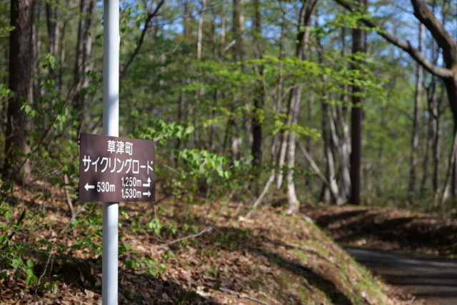 草津森の癒し歩道サイクリングコース