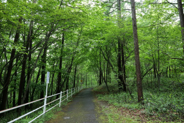  草津森の癒し歩道サイクリングコース 