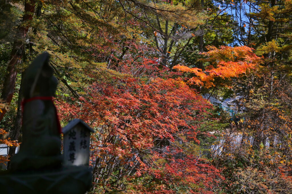 西の河原公園　紅葉