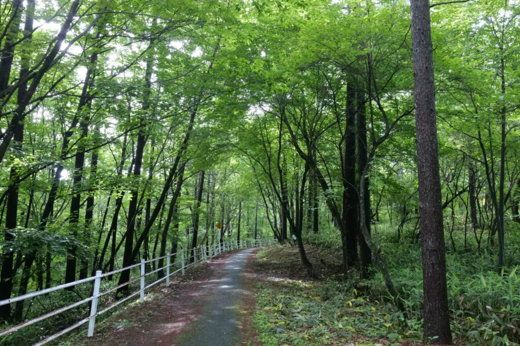 草津森の癒し歩道サイクリングコース