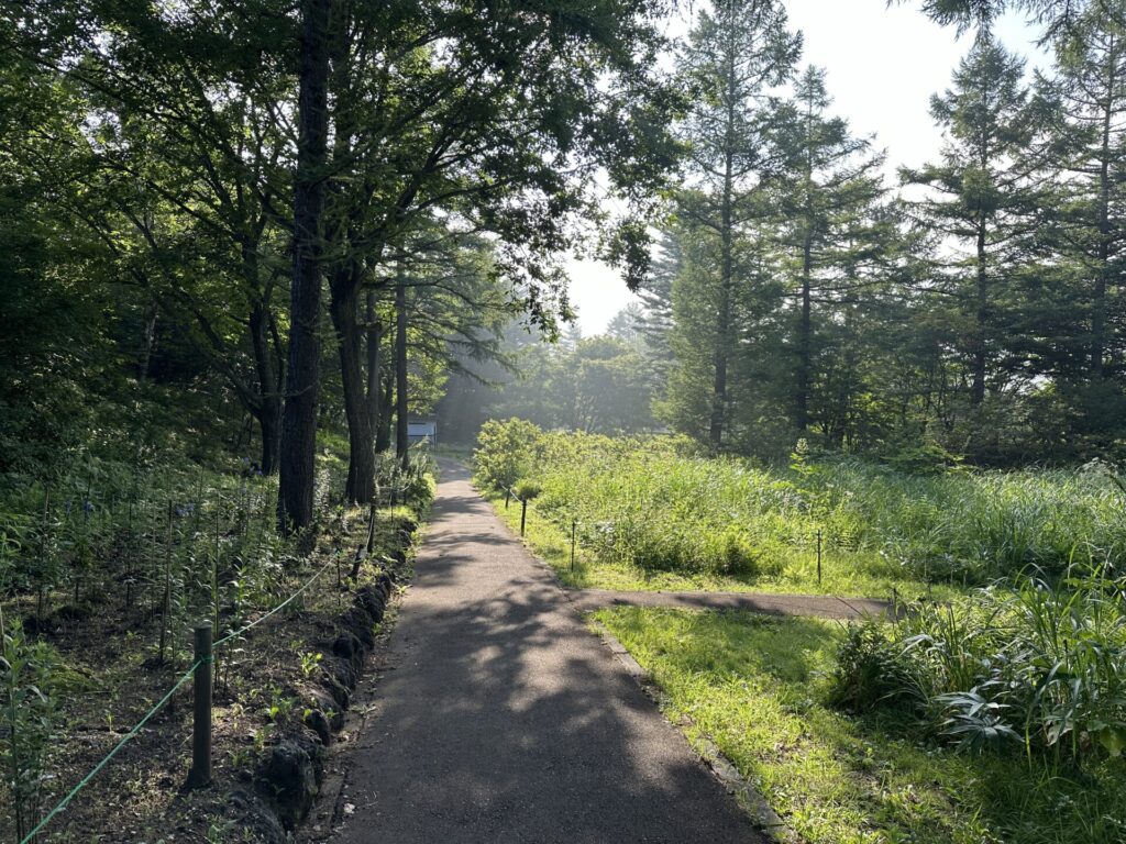 道の駅草津運動茶屋公園