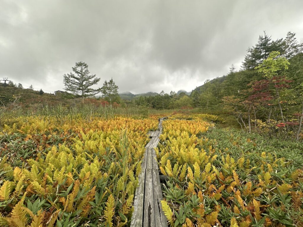 殺生河原武具脱の池周辺の紅葉