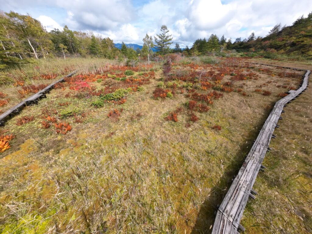 殺生河原武具脱の池周辺の紅葉