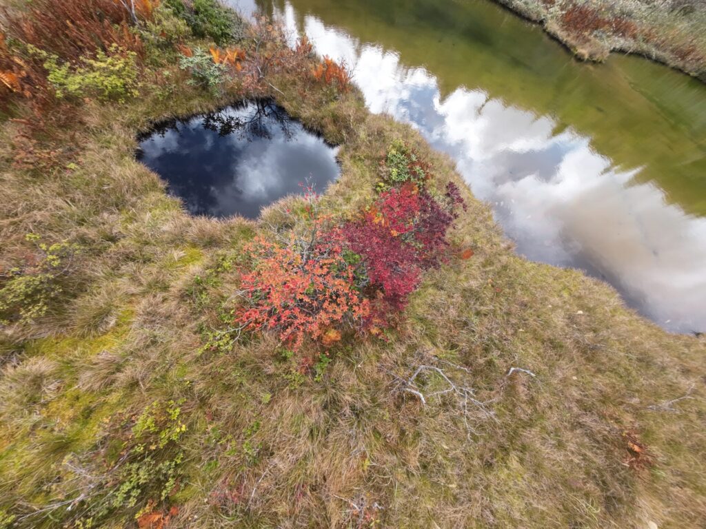 殺生河原武具脱の池周辺の紅葉