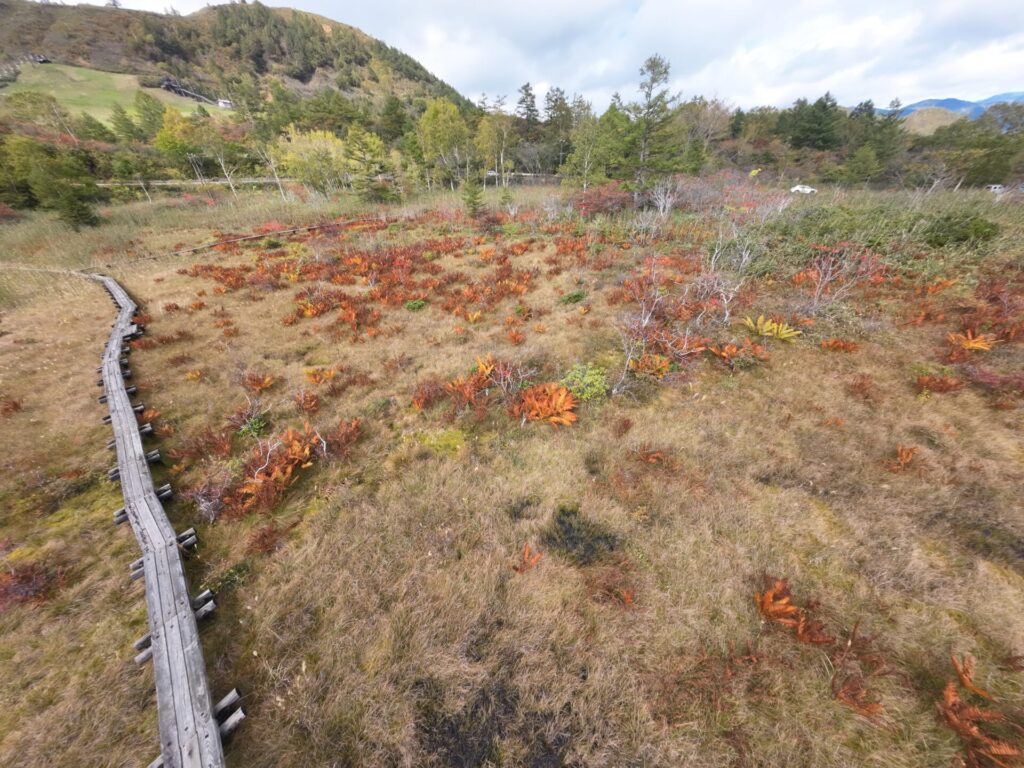 殺生河原武具脱の池周辺の紅葉