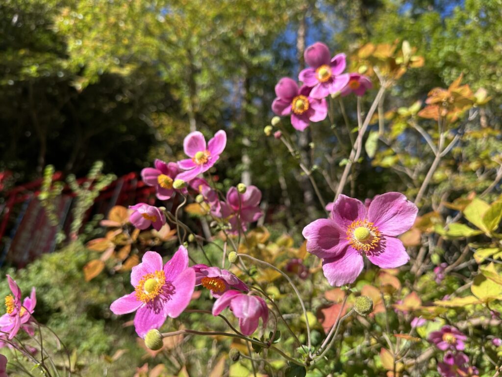 西の河原公園