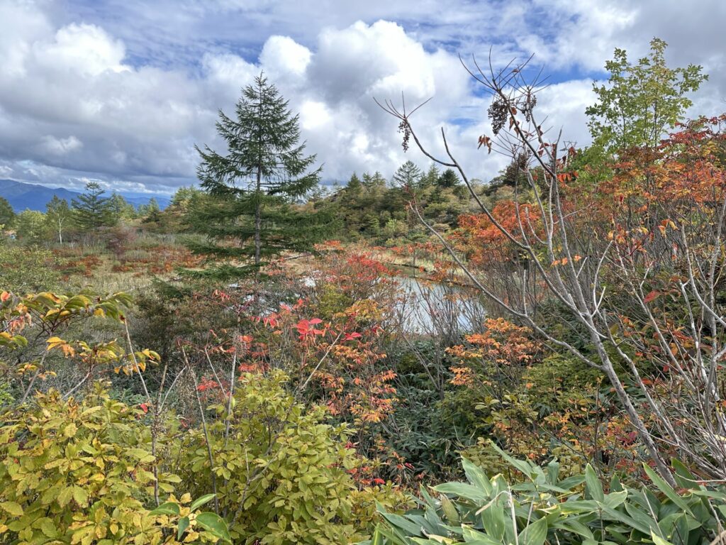 殺生河原武具脱の池周辺の紅葉