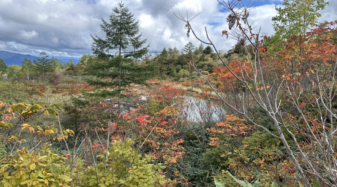 殺生河原武具脱の池周辺の紅葉