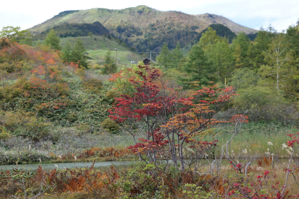 殺生河原武具脱の池周辺の紅葉