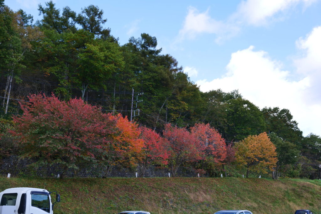 紅葉