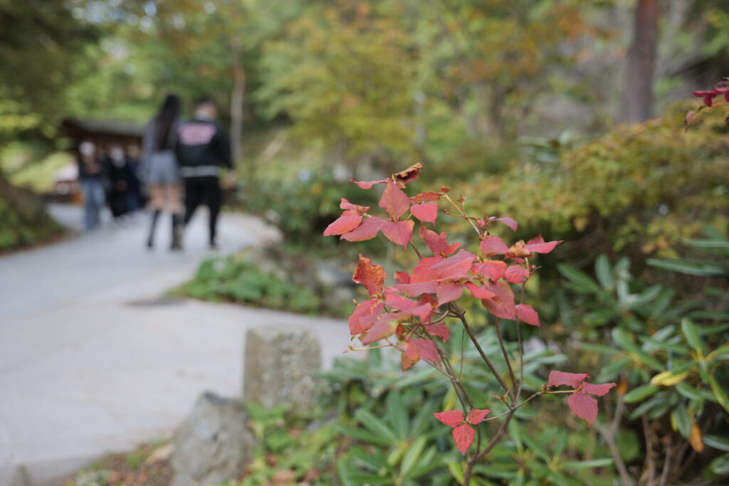 西の河原公園