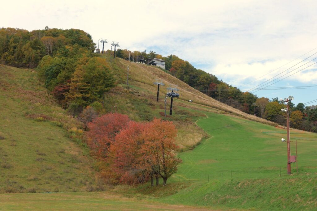 天狗山周辺の紅葉