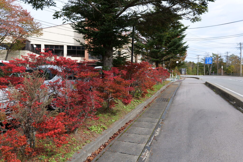 天狗山周辺の紅葉