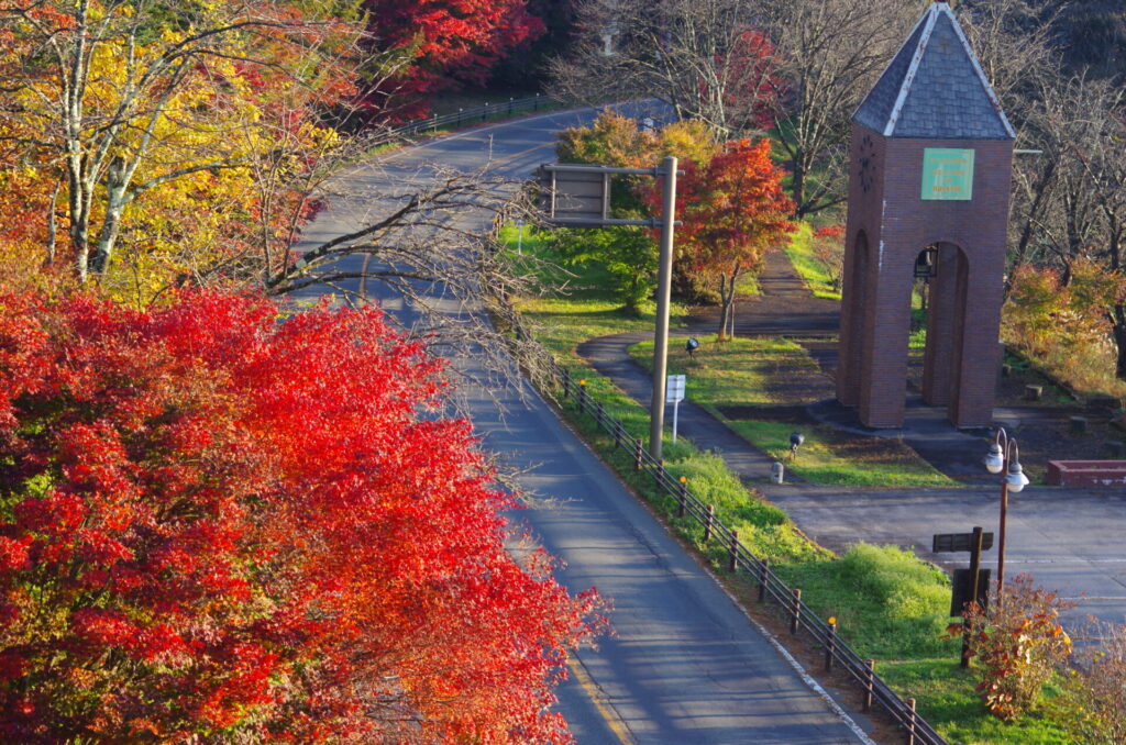 道の駅草津運動茶屋公園　紅葉の様子