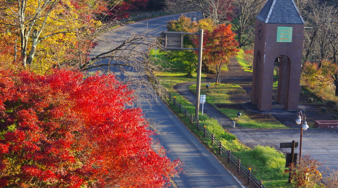 道の駅草津運動茶屋公園　紅葉の様子