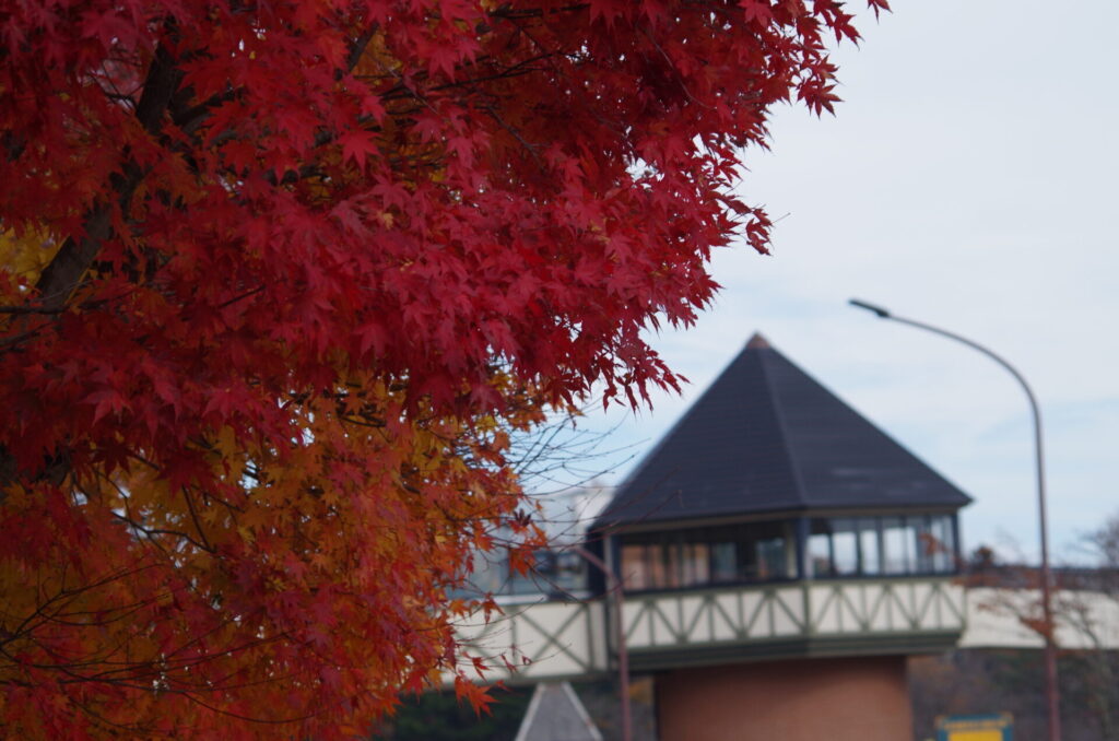 道の駅草津運動茶屋公園　紅葉