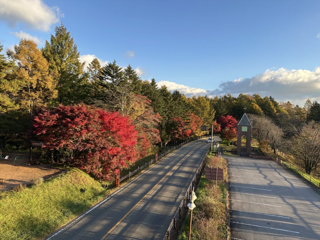 道の駅草津運動茶屋公園　紅葉の様子