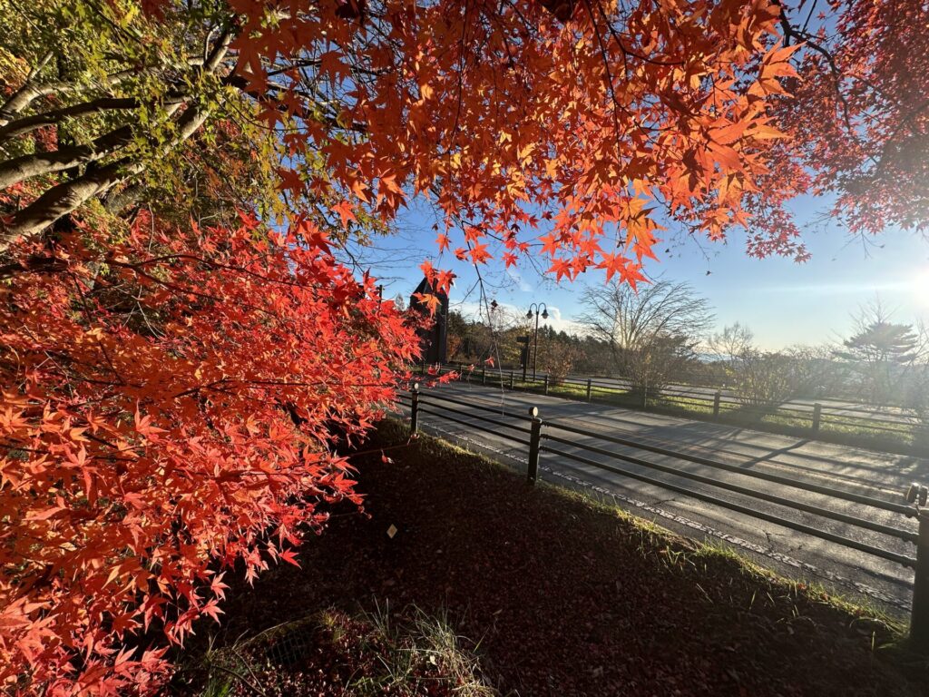 道の駅草津運動茶屋公園　紅葉の様子