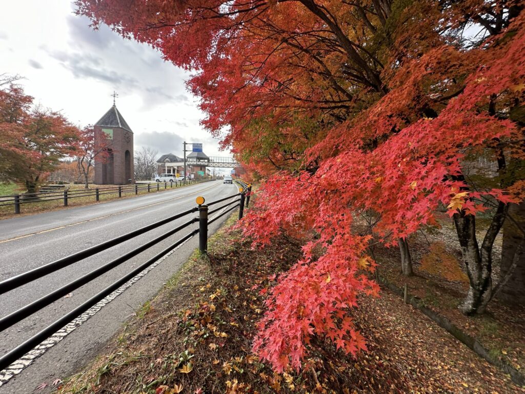 道の駅草津運動茶屋公園　紅葉