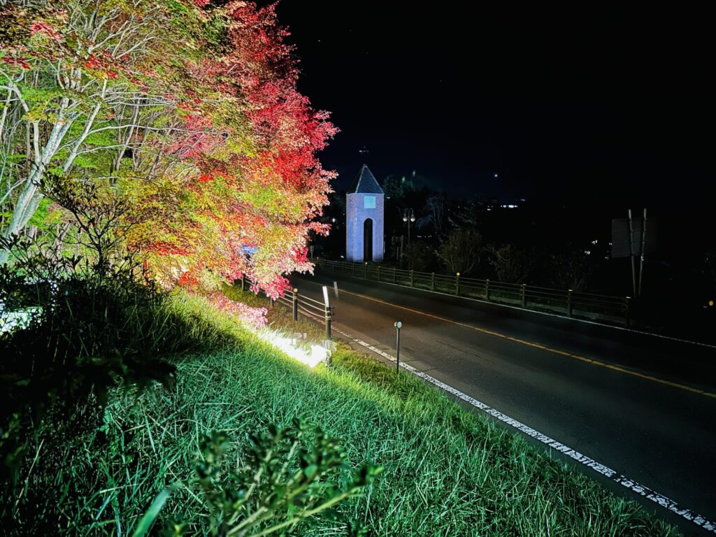 道の駅草津運動茶屋公園　紅葉ライトアップ