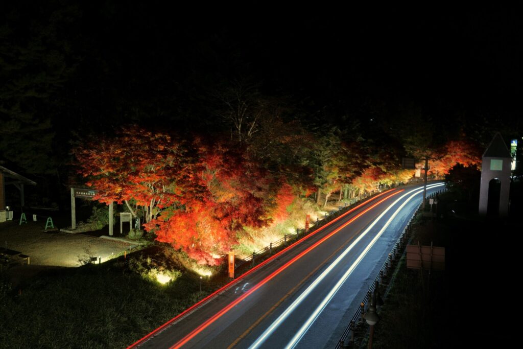 道の駅草津運動茶屋公園　紅葉ライトアップ