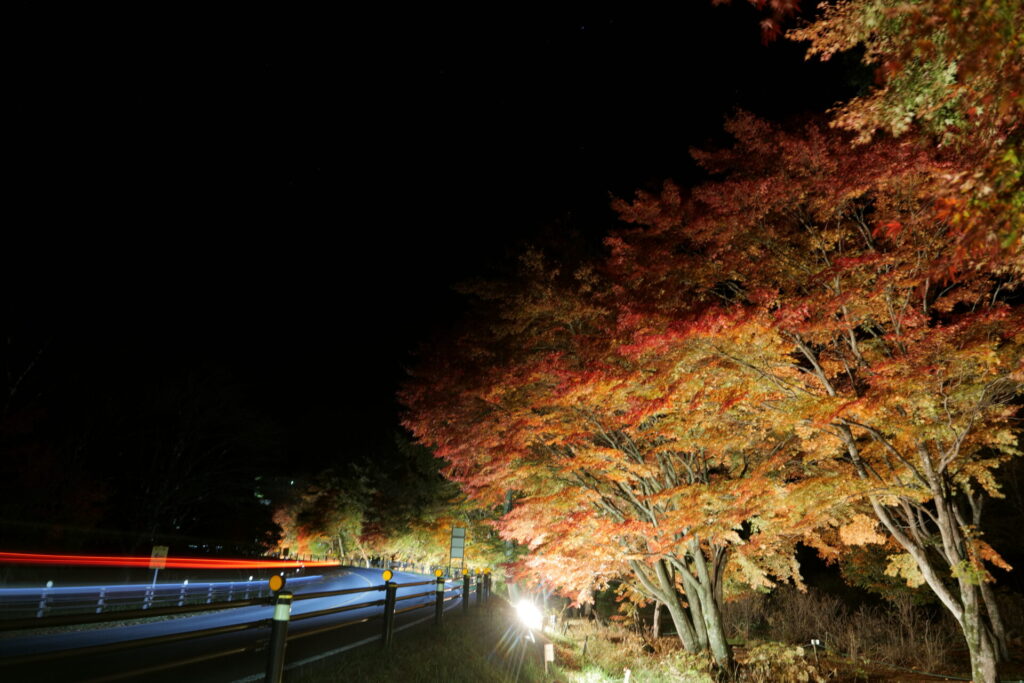 道の駅草津運動茶屋公園　紅葉ライトアップ