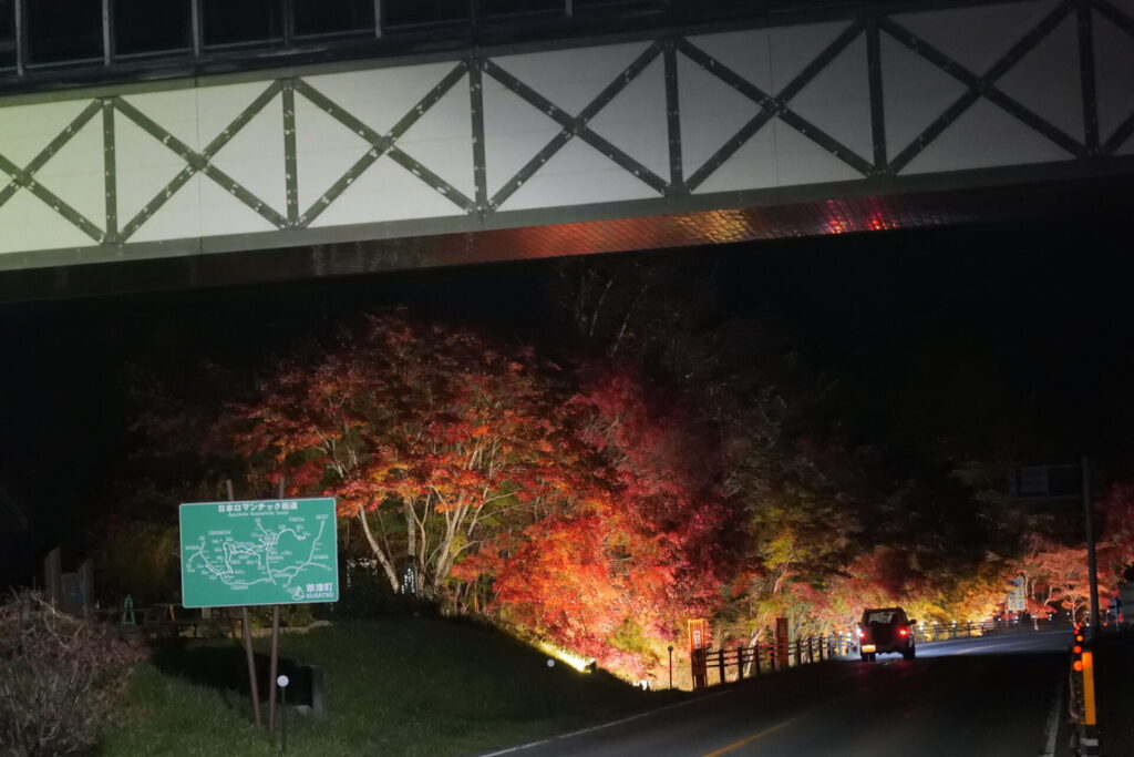 道の駅草津運動茶屋公園　紅葉ライトアップ