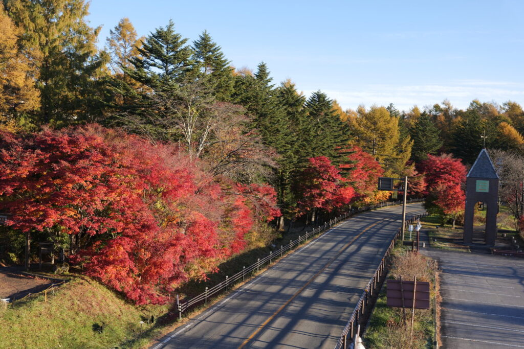 道の駅草津運動茶屋公園　紅葉の様子