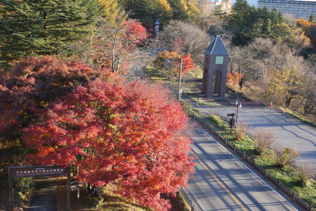 道の駅草津運動茶屋公園　紅葉の様子