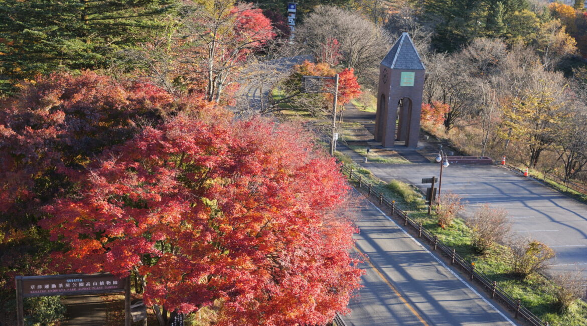 道の駅草津運動茶屋公園　紅葉の様子