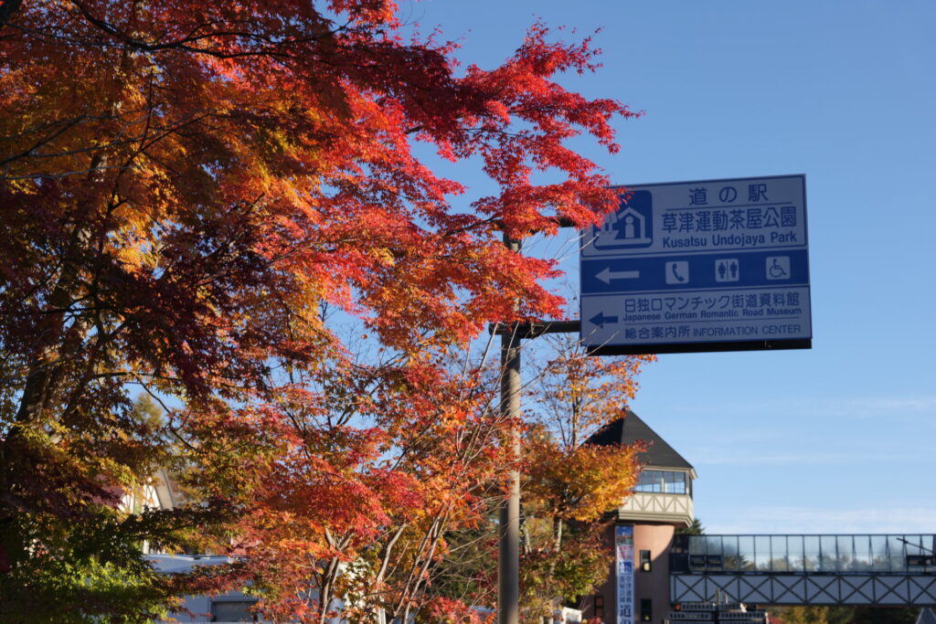 道の駅草津運動茶屋公園　紅葉の様子