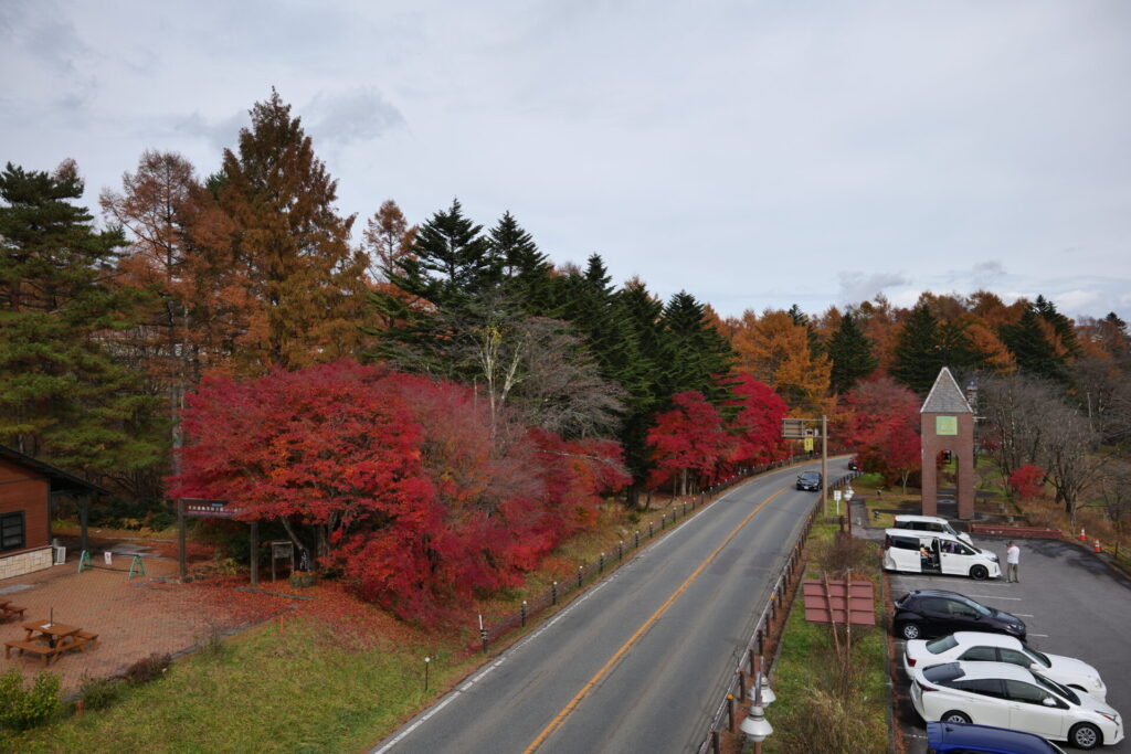 道の駅草津運動茶屋公園　紅葉