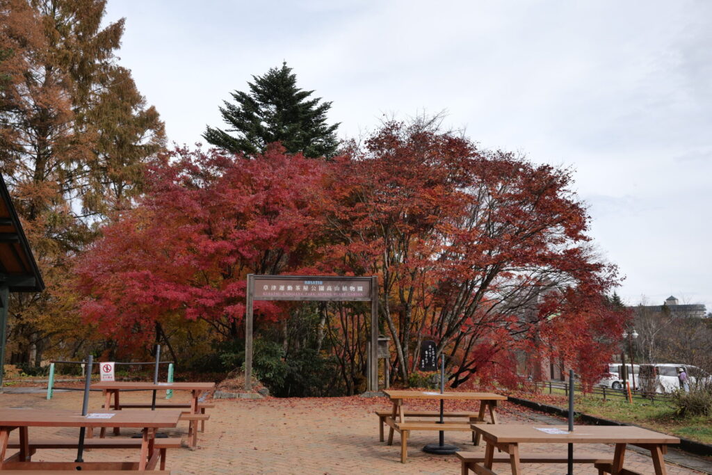 道の駅草津運動茶屋公園　紅葉