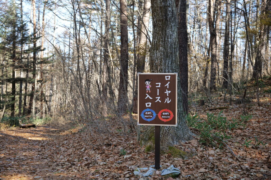 草津森の癒し歩道ロイヤルコース