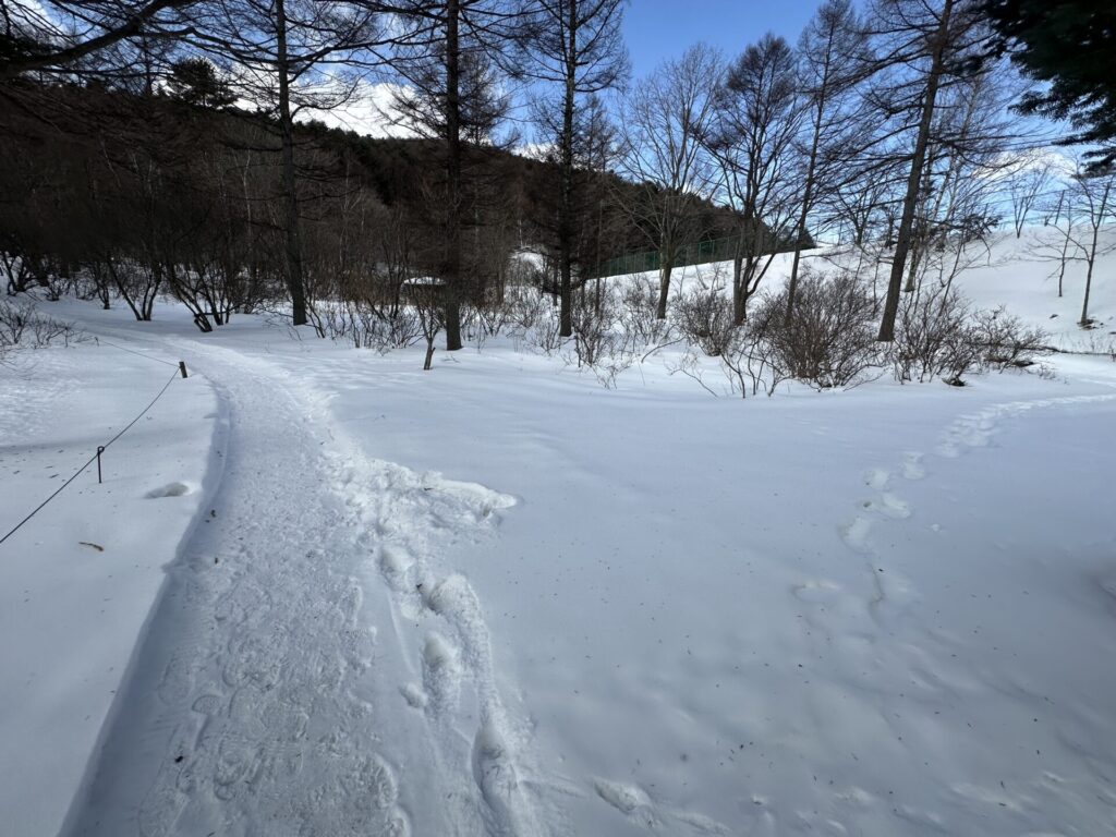 道の駅草津運動茶屋公園高山植物園