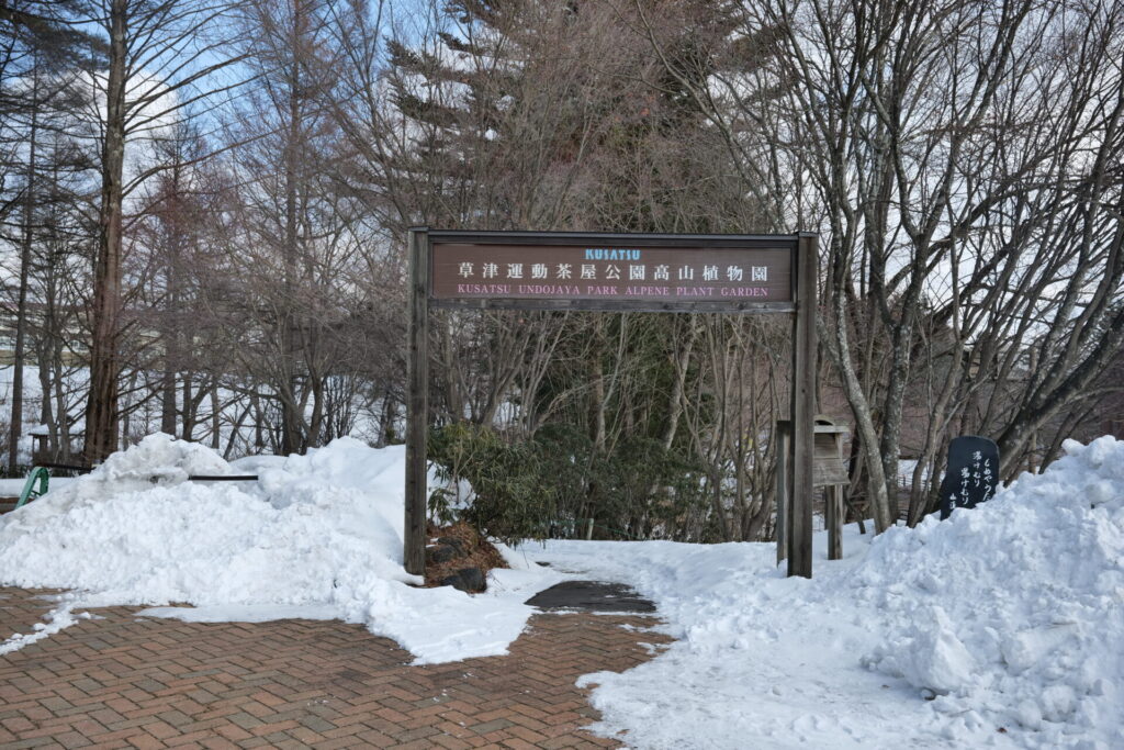 道の駅草津運動茶屋公園高山植物園