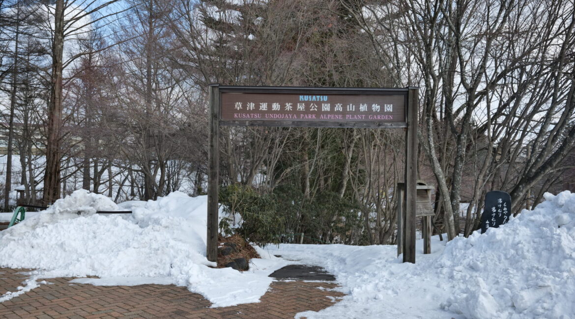 道の駅草津運動茶屋公園高山植物園