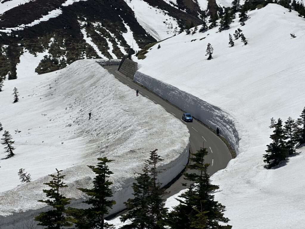 志賀草津高原ルート　雪の回廊