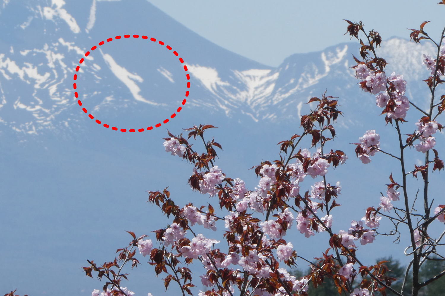 連年余り - 于培山 連年余り - 于培山 ゾラ・マグダラオス（MHW） | モンハン完全攻略