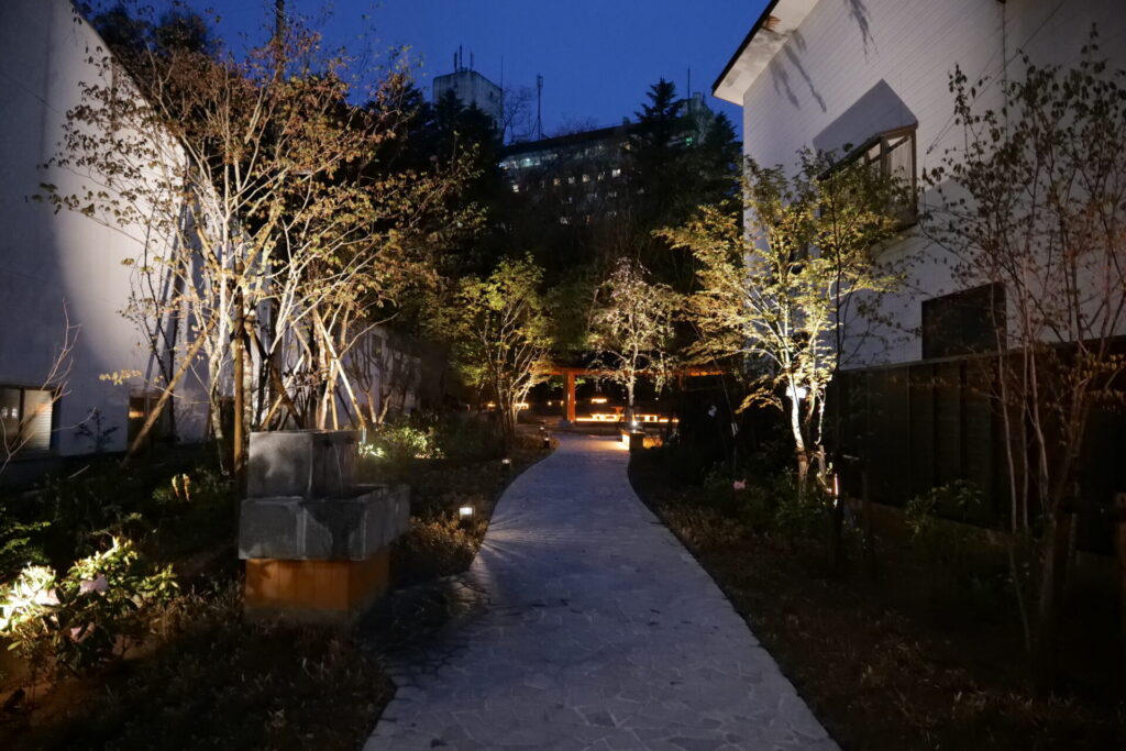 色彩の陵　夜のライトアップ