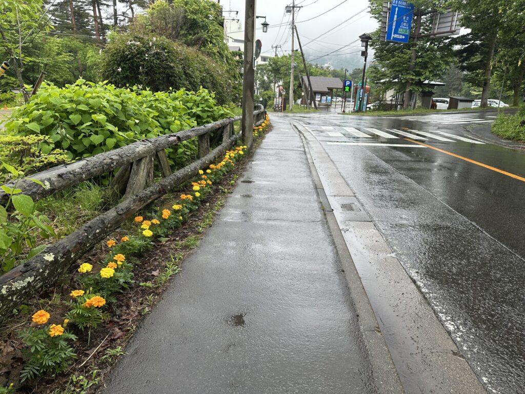 ベルツ通り　花いっぱい
