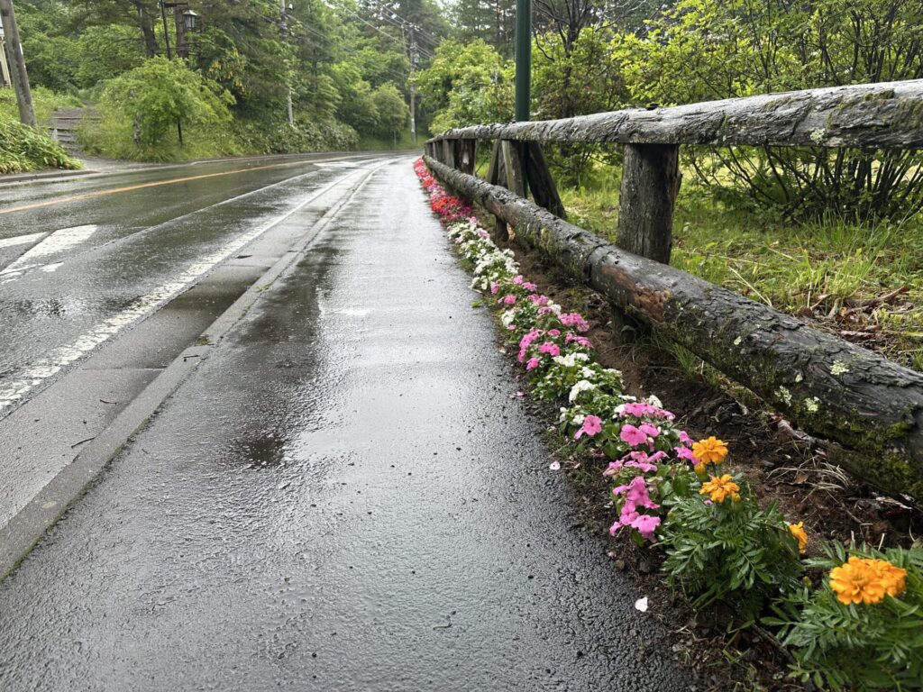 ベルツ通り　花いっぱい