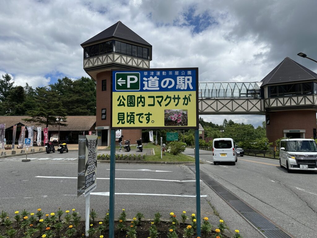 道の駅草津運動茶屋公園　コマクサ