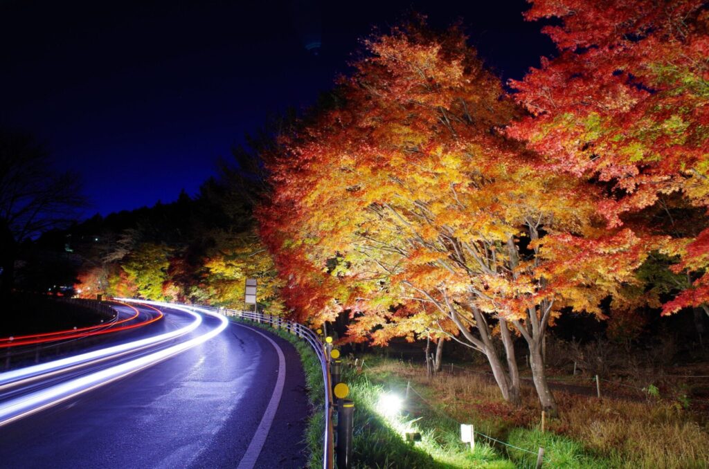 道の駅草津運動茶屋公園　　紅葉ライトアップ2025