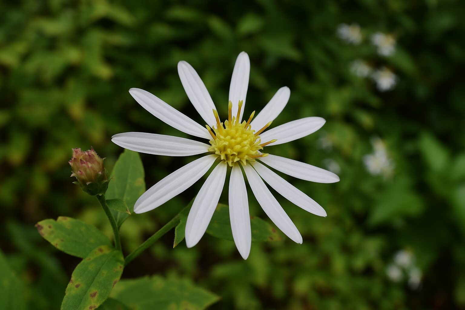 ChatGPT-Image-2025年10月6日-